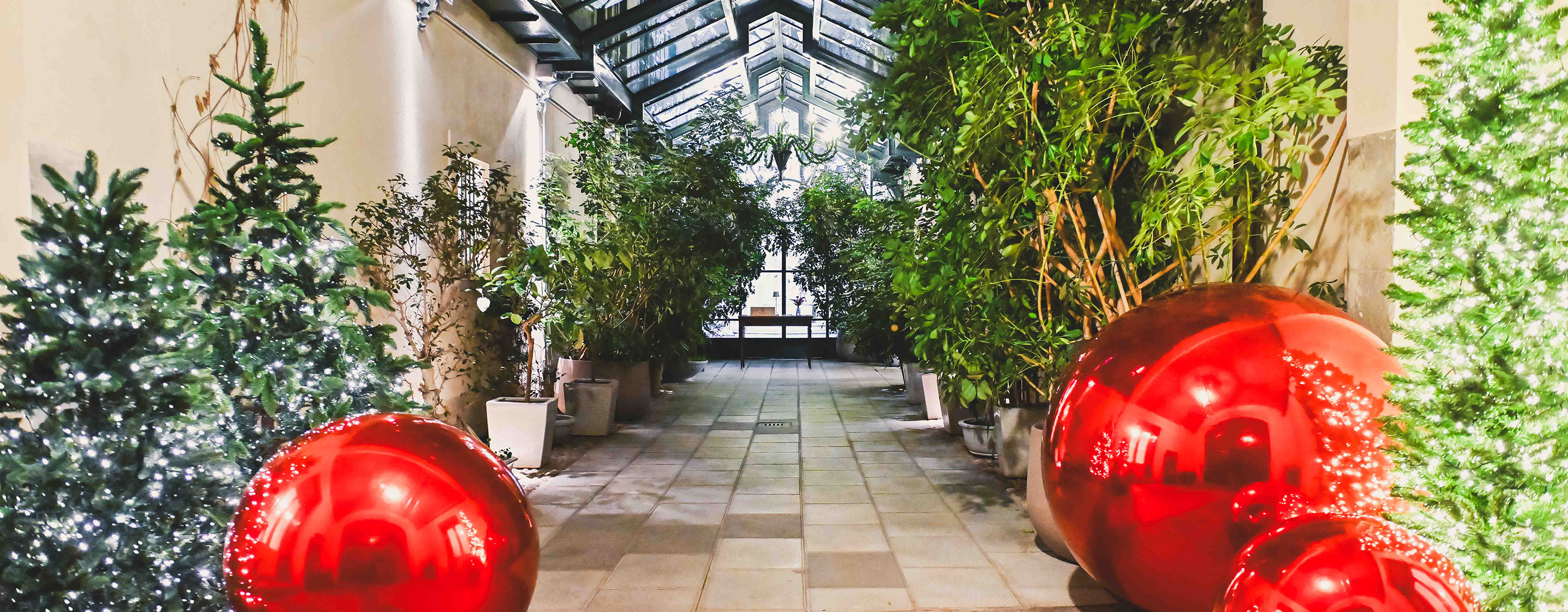 5 CenaNatale DES desktop